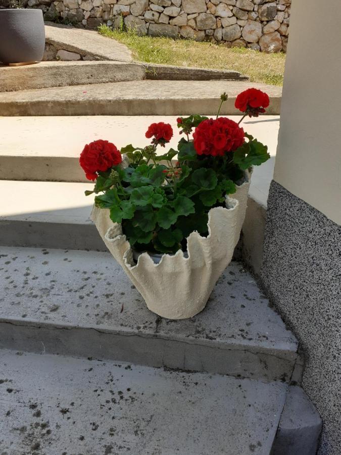 Apartman Danijela Zagorje Exteriör bild